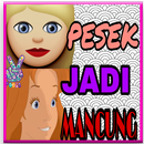 Pesek Jadi Mancung APK