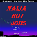 HOT NAIJA JOBS