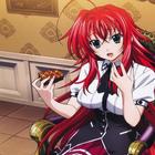 Highschool DxD Wallpaper 아이콘