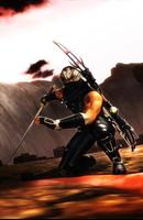 Ninja Gaiden's  Wallpaper HD poster