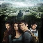 Maze Runner Wallpaper أيقونة