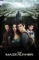 Maze Runner Wallpaper screenshot 3