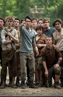 Maze Runner Wallpaper capture d'écran 1