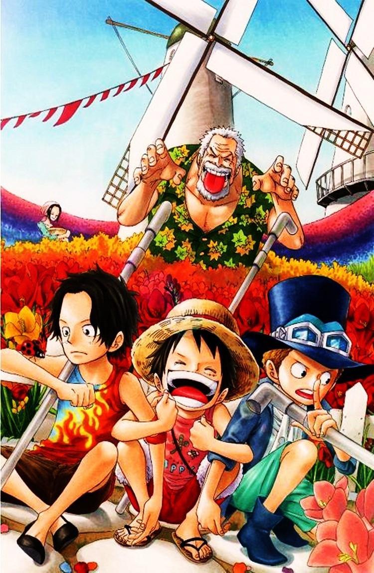 Saboo One S Piece Wallpaper For Android Apk Download