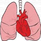 CardioPulmonary Sounds icône