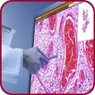 Pathology Atlas (Basic Gross & Microscopic slides)