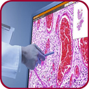 Pathology Atlas (Basic Gross & Microscopic slides) APK