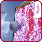 Pathology Atlas biểu tượng