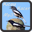 Kicau Kacer MP3 APK