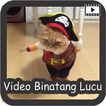 Video Binatang Lucu