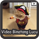 Video Binatang Lucu APK