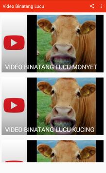 Video Binatang Lucu For Android Apk Download