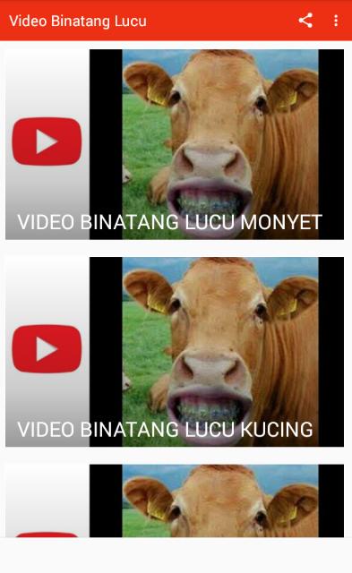 400 Gambar Binatang Lucu Sunda Paling Baru 400 Gambar Binatang Lucu Sunda Paling Baru