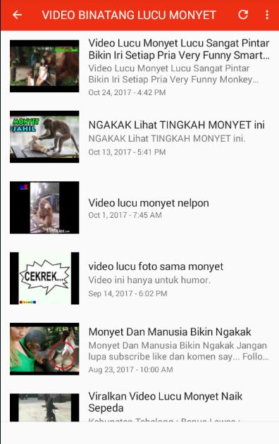 Video Binatang Lucu Für Android Apk Herunterladen