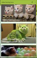 VIDEO KUCING LUCU TERBARU الملصق