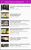 VIDEO KUCING LUCU TERBARU تصوير الشاشة 1