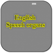 English speech organs
