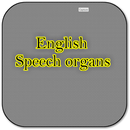 English speech organs APK