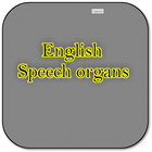 English speech organs icono