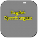 APK English speech organs