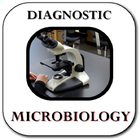 Diagnostic microbiology icono