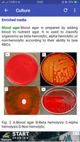 Diagnostic microbiology capture d'écran 3