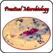 Micribiology Atlas