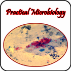 Micribiology Atlas icono