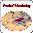 APK Micribiology Atlas