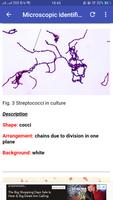 Micribiology Atlas syot layar 1