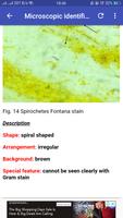 Micribiology Atlas Ekran Görüntüsü 2