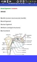 Obstetrics & Gynecology Mnemonics スクリーンショット 2