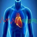 FOODS PREVENTING HEART DISEASES APK