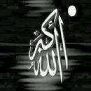 Ruqyah Shariah full MP3 APK