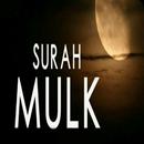 Surah Mulk MP3 Offline APK