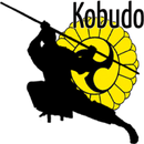 APK kobudo ( MARTIAL ARTS )