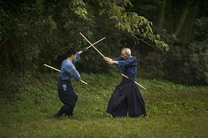 kobudo ( MARTIAL ARTS ) 截圖 2