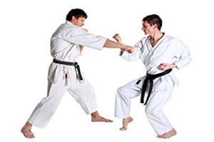 karate ( MARTIAL ARTS ) bài đăng