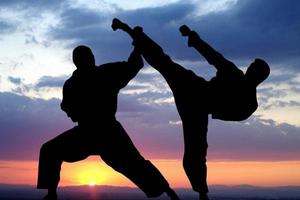 karate ( MARTIAL ARTS ) स्क्रीनशॉट 2