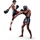 APK MUAY THAI