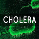 APK cholera disease