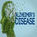 Alzheimer disease TEST