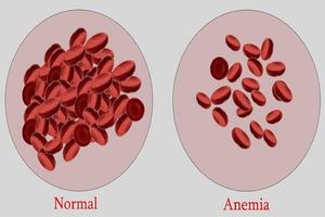 anemia disease test screenshot 1