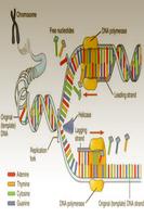 DNA test Plakat