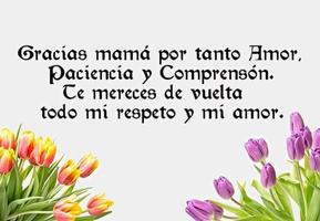 برنامه‌نما Feliz Día de la Madre frases عکس از صفحه