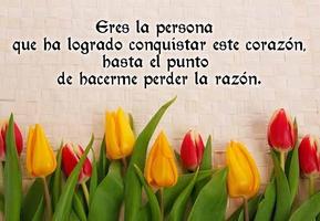 Frases para Enamorar Mujeres syot layar 1