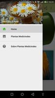 Plantas Medicinales Affiche