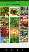 برنامه‌نما Plantas Medicinales عکس از صفحه