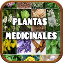 APK Plantas Medicinales