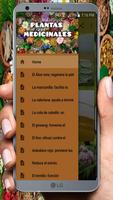 Plantas Medicinales poster